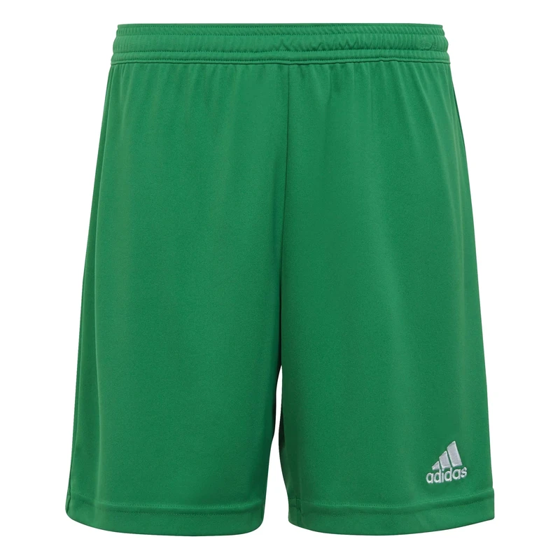 adidas Unisex Kids Entrada 22 Shorts, Team Green, 13-14 Years