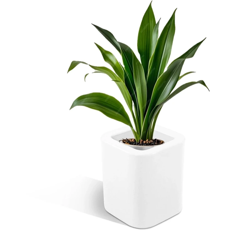 Kloris Column Pot Holder, White, h 35