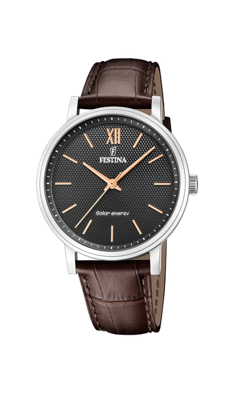 Festina Analog F20660/6, Brown, 41, Strip