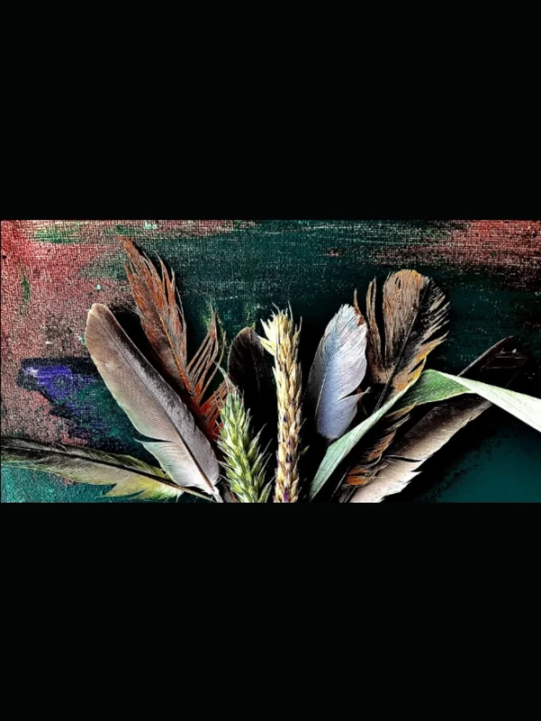 IN ALTERA HORIZON EST ANIMA MEA VESTRUM APREHENDET VOS: Upon this next Horizon you will find my soul.