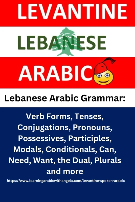 Lebanese Arabic Grammar: Verb Forms, Tenses, Conjugations, Pronouns, Possessives, Participles, Modals, Conditionals, Can, Need, Want, the Dual, ... Lebanese Colloquial or Spoken Arabic)