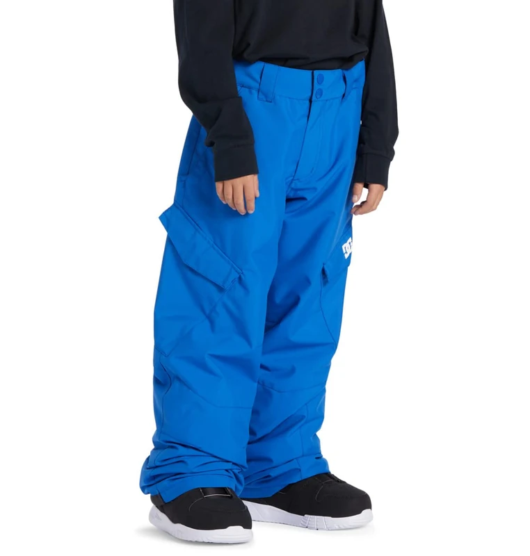 DC Shoes Banshee - Technical Snow Pants for Kids - Image 1