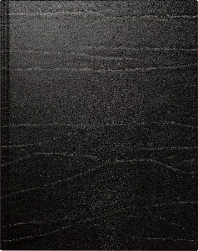 rido/idé Weekly calendar model manager calendar TM 2024 2 pages = 1 week sheet size 20.5 x 26 cm black