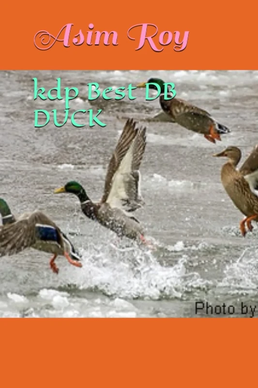 kdp Best DB DUCK