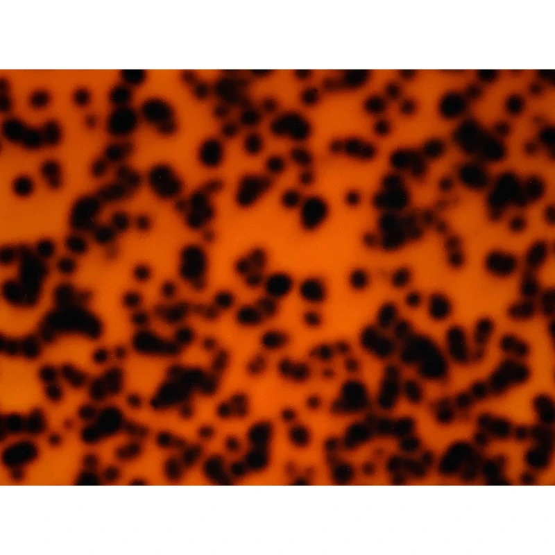 Incudo Yellow Spotted Tortoiseshell Acrylic Sheet - 1000x600x3mm