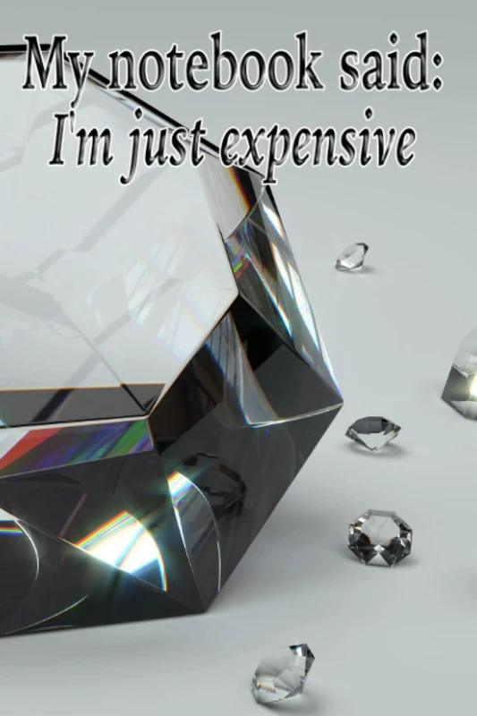 My Notebook Said: I'm Just Expensive - Specialty Notebook