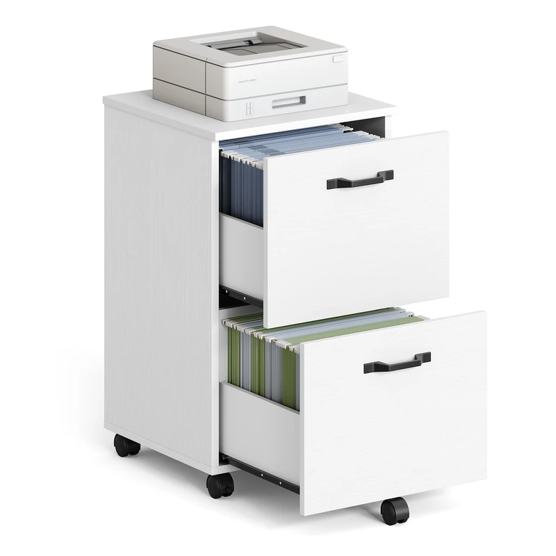 VASAGLE 2-Drawer Mobile Filing Cabinet and Printer Stand