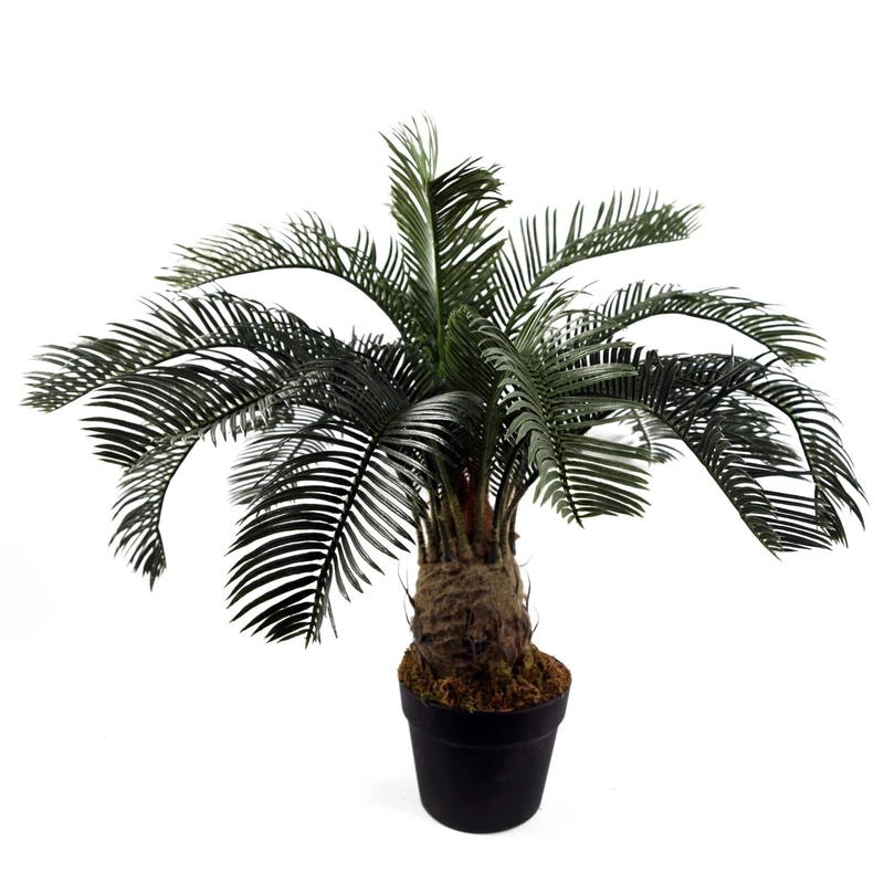 Leaf Design UK Large Realistic Artificial Palm Tree, 60 cm, Cycas Tropical