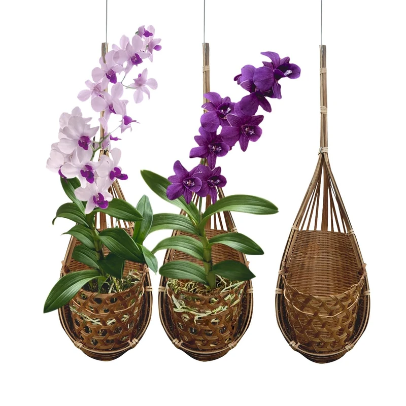 PANWA Handmade 100% Thai Bamboo Woven 4 Inch Hanging Orchid Basket - Set of 3 Multi-Purpose Bird Nest Style Plant Hangers for Gazebo - Indoor/Outdoor Flower Planter (Natural Brown)