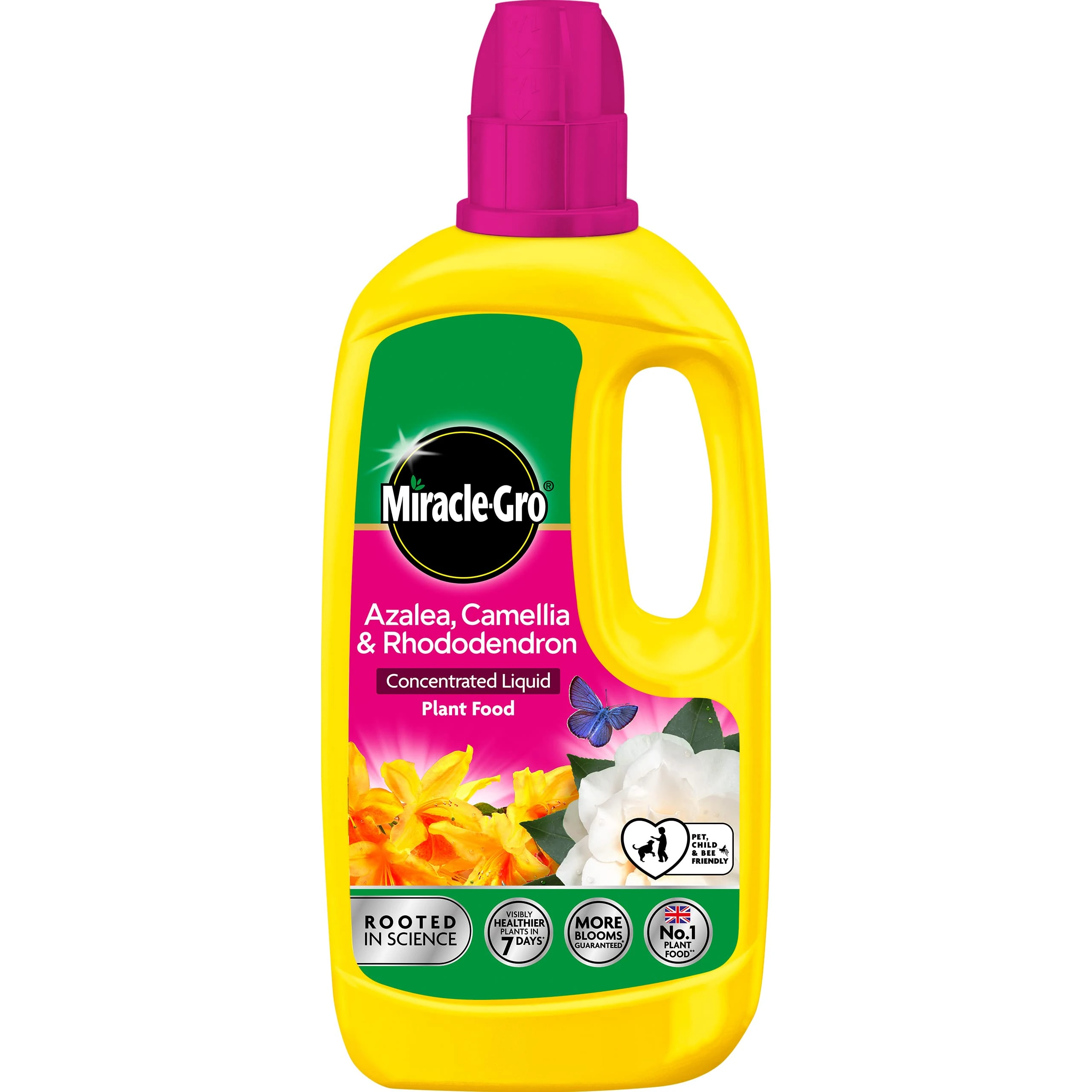 Miracle-Gro 121180 Azelia, Camellia & Rhododendron Concentrated Plant Food, 800 ml, Natural