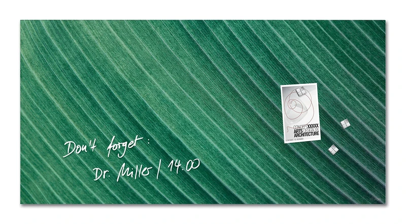SIGEL GL371 Artverum Magnetic Glass Board, palm leaf Green, 91 x 46 cm, safety Glass