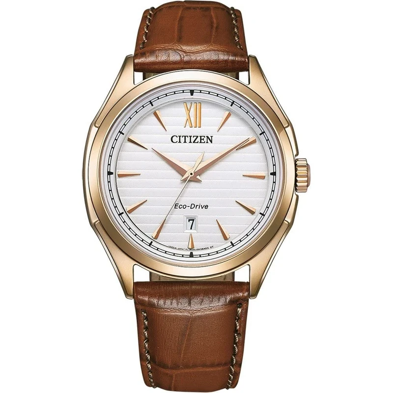 Citizen Eco-Drive Men Analogue Watch