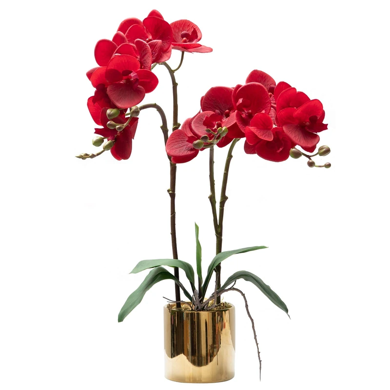 CXGS Artificial Orchid Flower Plant Real Touch Faux Orchids in Ceramic Vase Red 19.7'' Fake Phalaenopsis Flower Arrangement Centerpiece Home Indoor Decor