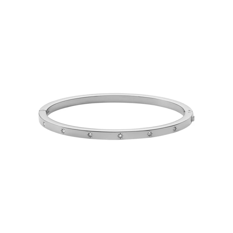 Fossil Women's Bracelet Sadie Shine Bright Stainless Steel Bangle, JF04420040