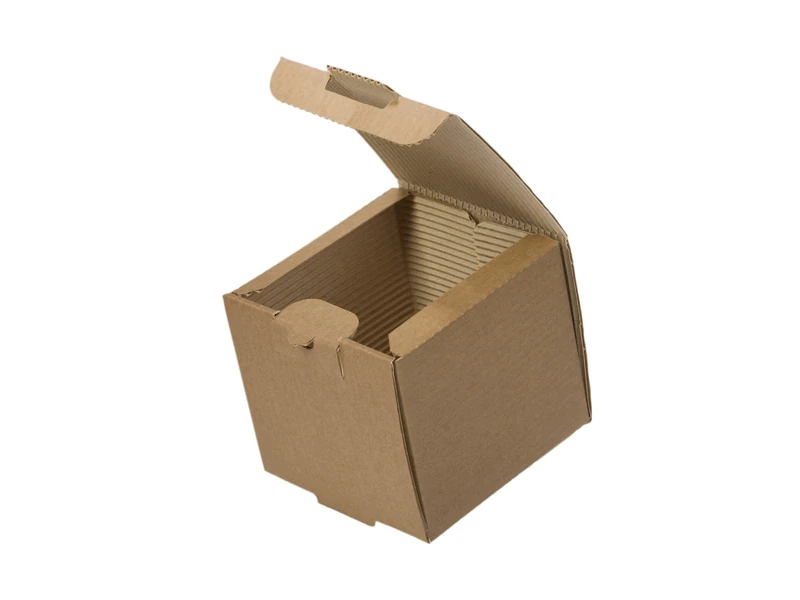 Tessera Bio Products QWSB Kraft Paper 2-Ply Burger Box, Natural Colour, 13.2 cm Length, 12.8 cm Width, 8.8 cm Height, 100 Pieces - Image 1