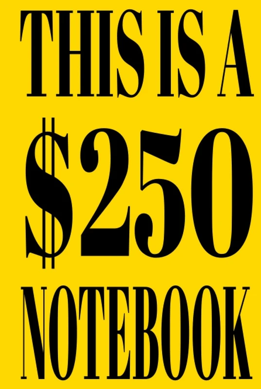 THIS IS A $250 NOTEBOOK