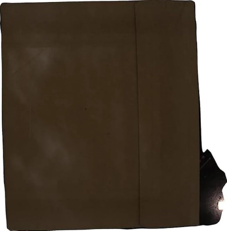 Mtv Unplugged Live aus'M Mv [VINYL]