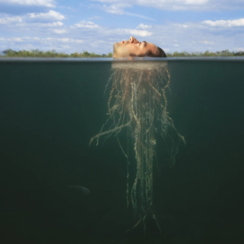 De-Loused in the Comatorium [VINYL]