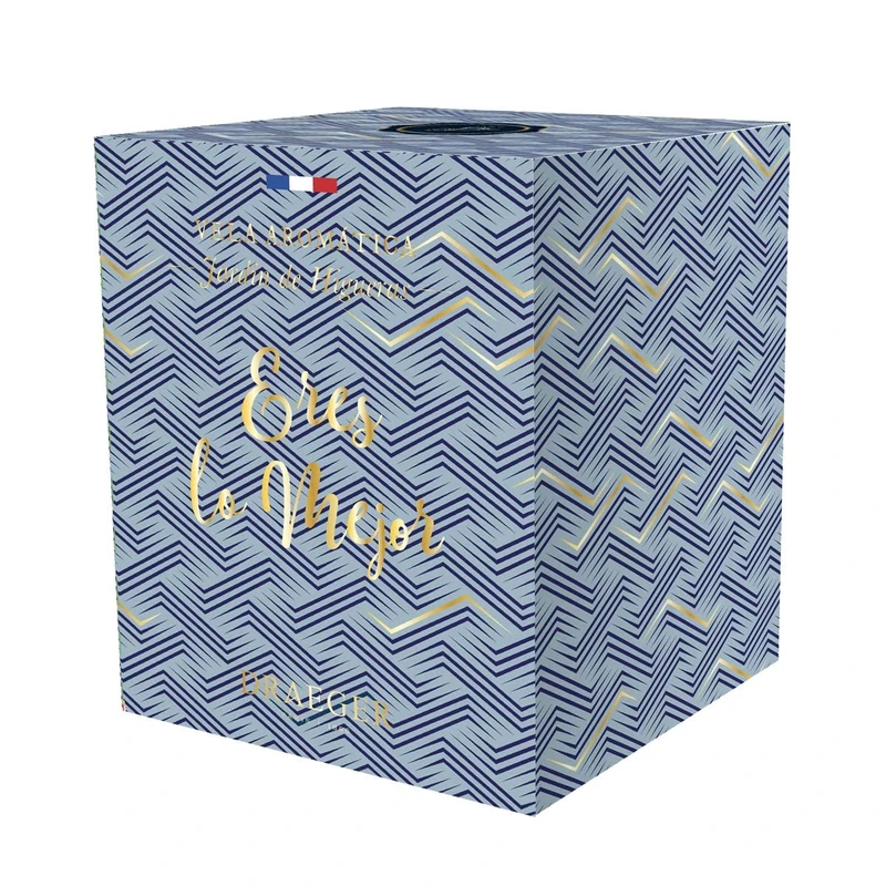 Draeger Paris - Garden Fragrance Candle of Fig Trees You are The Best