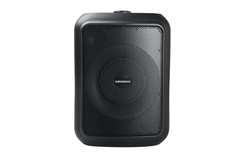 GRUNDIG Party Hit Bluetooth Speaker, Soundbox, 90 W, Bluetooth 5.0, Up to 10 m Range, RGB Light Effects, Up to 12 Hours Battery Capacity, Power Bank Function, Splash Waterproof IPX4, Black