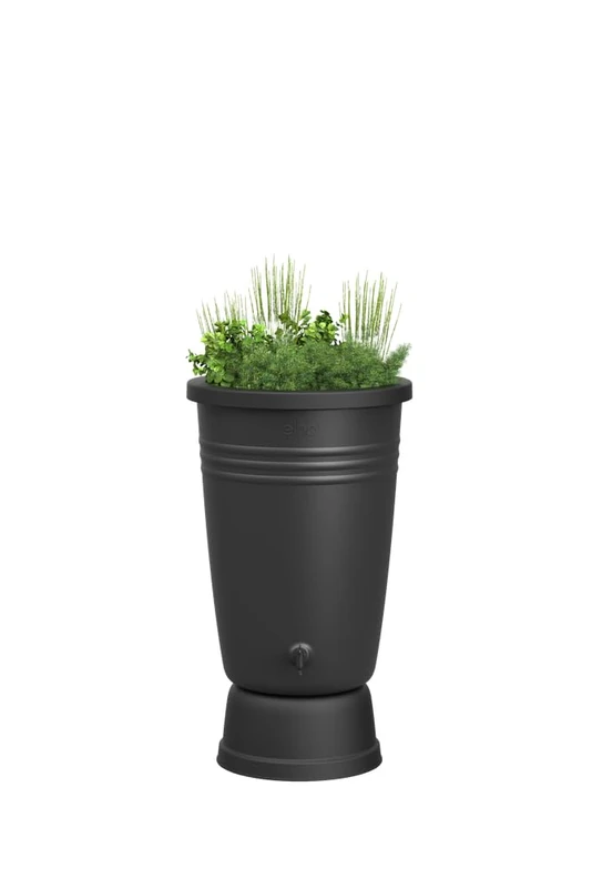 Elho Green Basics Rainbarrel Plus 110LTR - Rainbarrel for Grow your own - Ø 58.4 x H 80.4 cm - Black/Living Black - Image 1