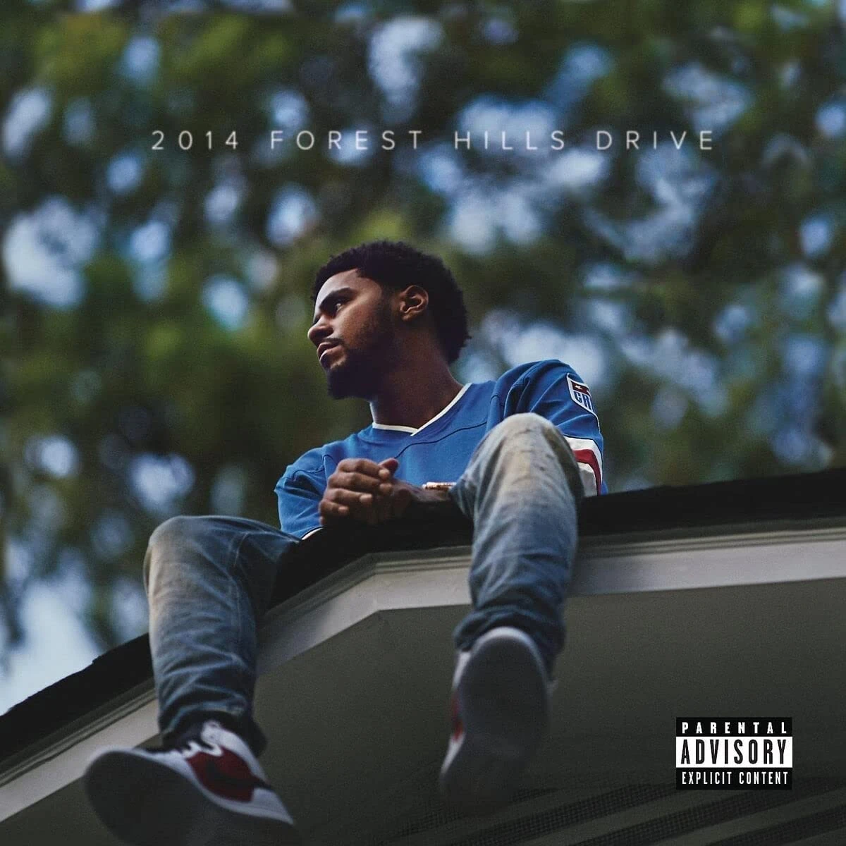 2014 Forest Hills Drive [VINYL]