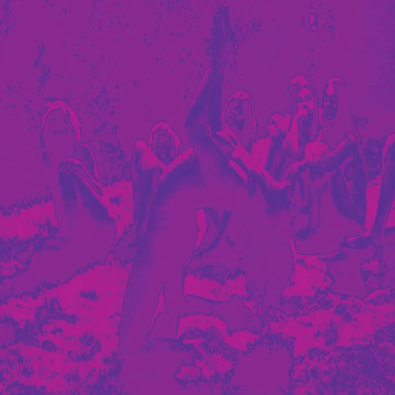 Acid Guru Pond