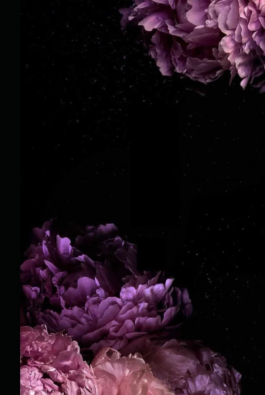 Journal (Teen) - Language Study and Reference Book