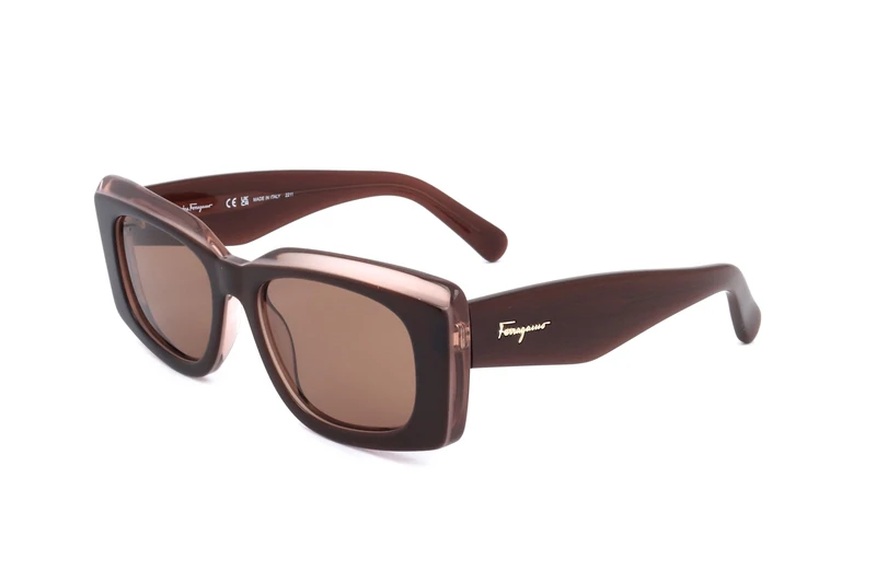Salvatore Ferragamo SF1079S SF1079S 211 brown nude sole Women's Acetate, Standard, 54 - Image 1