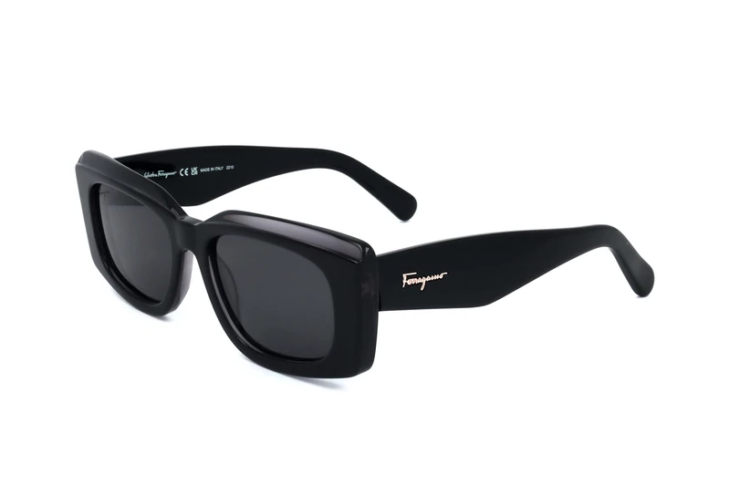 Salvatore Ferragamo SF1079S SF1079S 022 dark grey grey sole Women's Acetate, Standard, 54