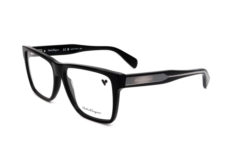 Ferragamo SF2953 SF2953 001 black Eyewear Unisex Acetate, Standard, 15