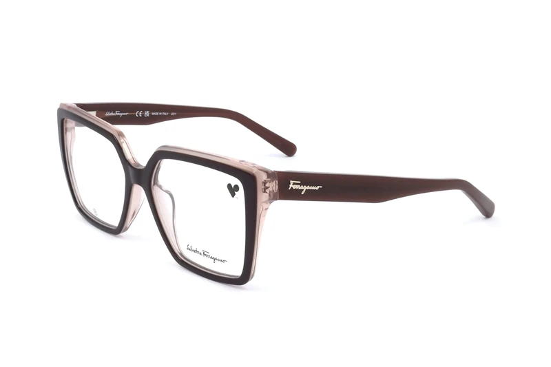 Salvatore Ferragamo SF2950 SF2950 211 brown nude vista Women's Steel, Standard, 54