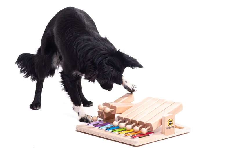 My Intelligent Dogs Piano - Interactive Wooden Dog Toy - Interactive Treat Dispenser for Dogs and Cats