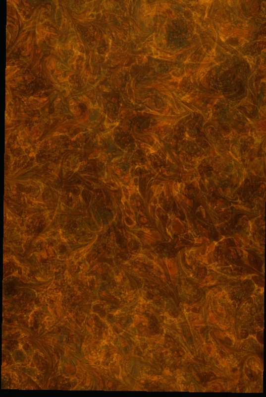Doynich Manuscript: The mysterious book of the earths history - Image 1