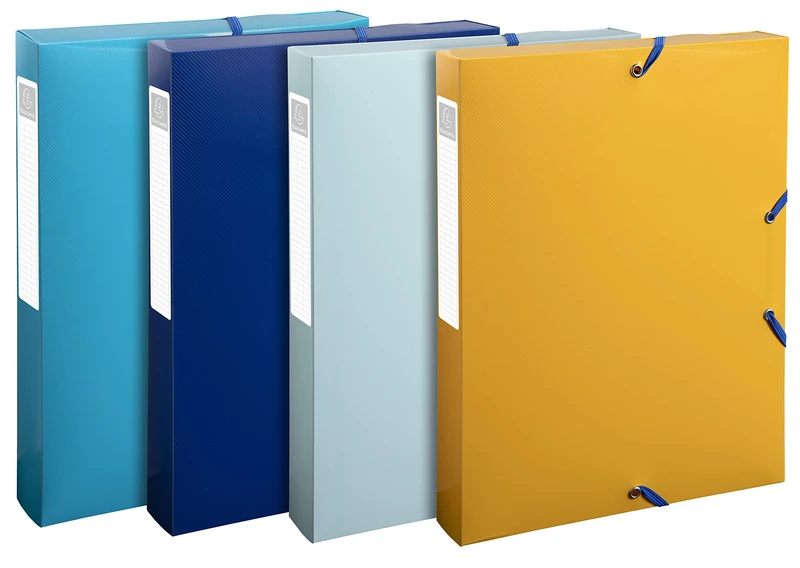 Exacompta - Ref. 59140E - Box of 8 BeeBlue recycled polypropylene filing boxes 40mm back - A4 - assorted colors