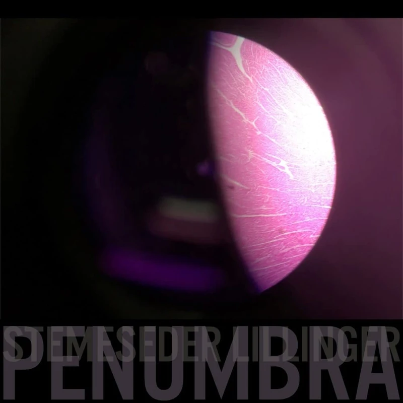 Penumbra (Lp) [VINYL]