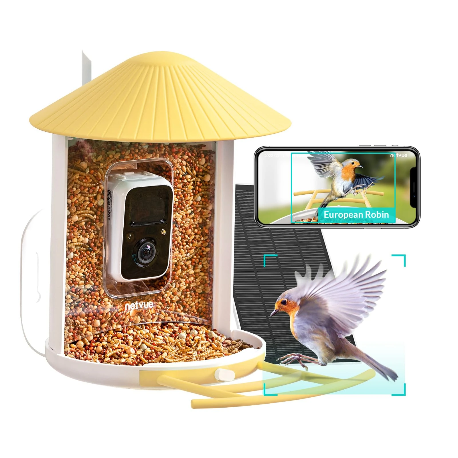 NETVUE by Birdfy Smart Bird Feeder Camera, Auto-Identify, Notify, Record Bird Video, Collect Permanently, Birdwatching Recap, HD Clips Storage, Solar Powered, Lifetime AI Included
