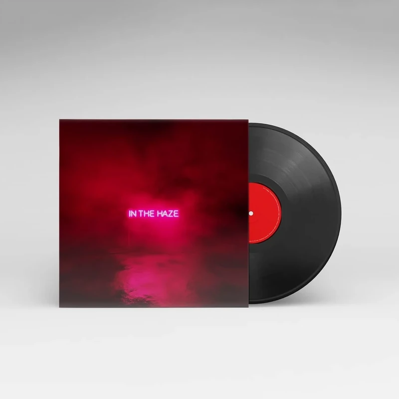In the Haze (Lp) [VINYL] - Image 1
