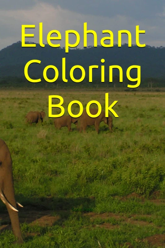 Elephant Coloring Book