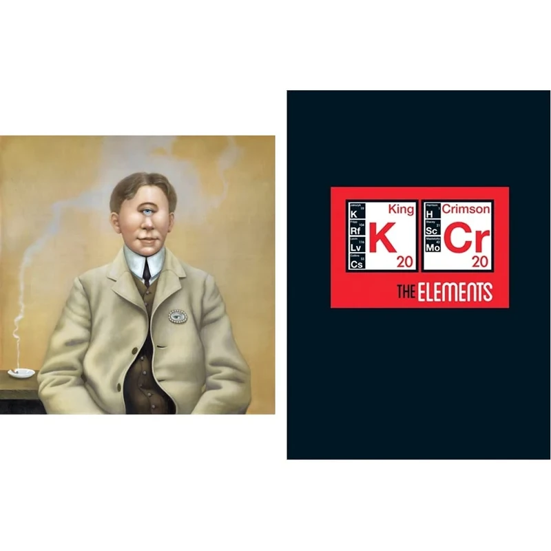 Radical Action To Unseat The Hold Of Monkey Mind & The Elements Tour Box 2020 (2CD)