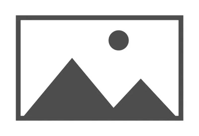 Glorious Fox Switches - Forge, 120 Stück, geschmiert