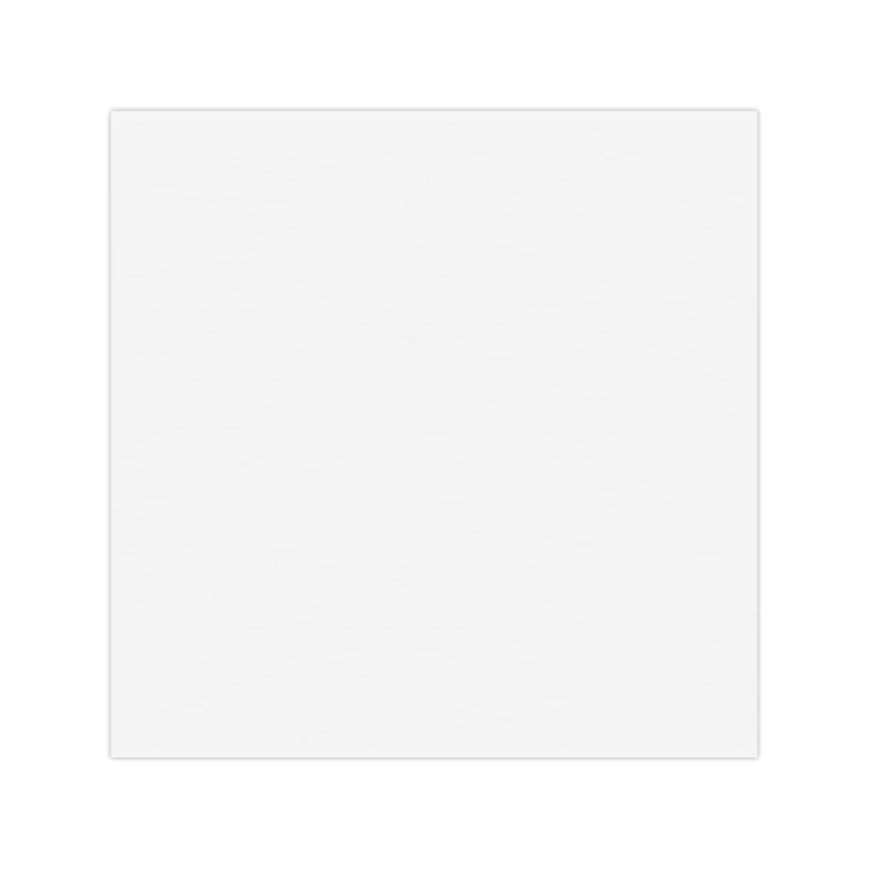 PORCELANOSA - 100324728 - Matt White 59.6X59.6