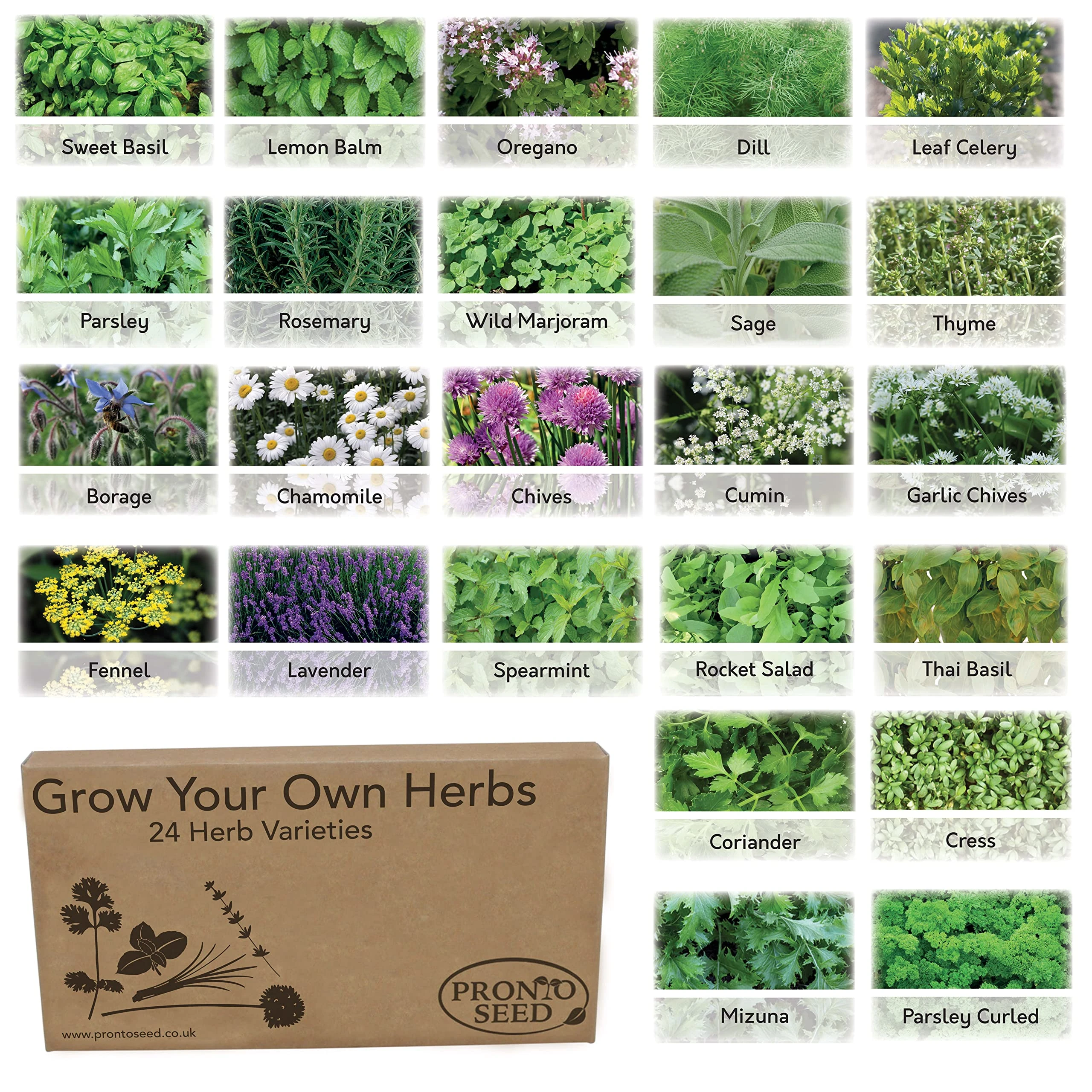 Pronto Seed Herb Bumper Pack - Grow Your Own Kit with 24 Herb Varieties - Aromatic, Mediterranean, Garden & Classic Herbs - Gardening Gift for Women and Men