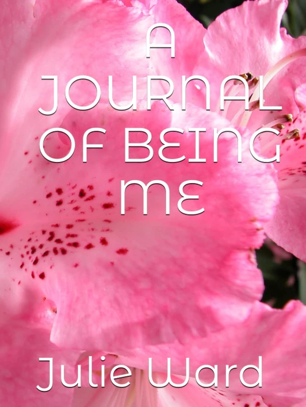 A JOURNAL OF BEING ME