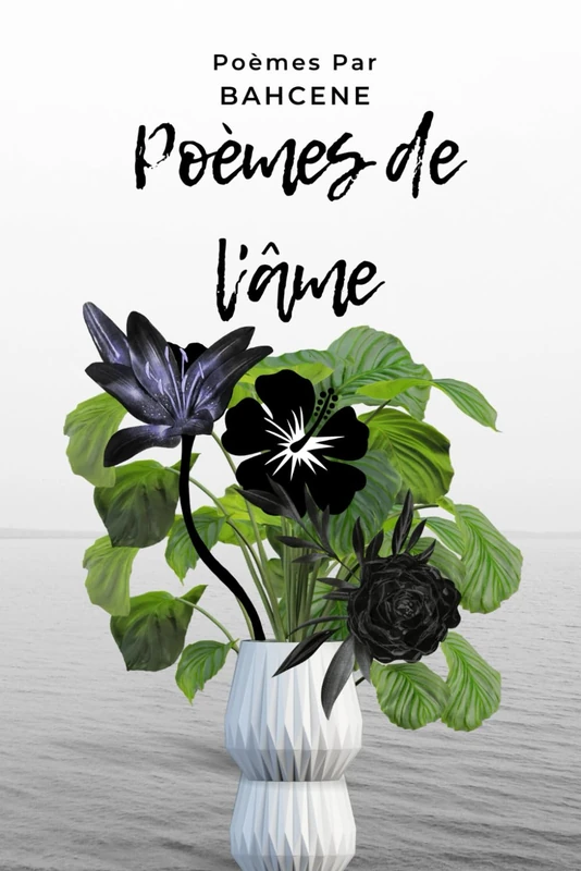 Poemes de l'ame: Les 04 Recueils - Poetry Collection