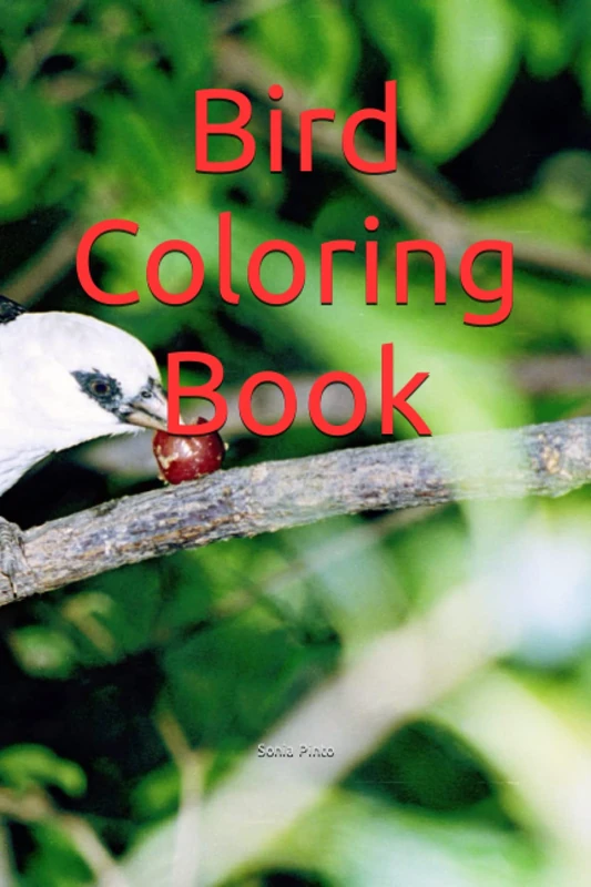 Bird Coloring Book