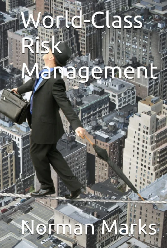 World-Class Risk Management
