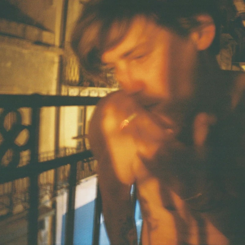 Du Kriegst Was du Brauchst [VINYL]