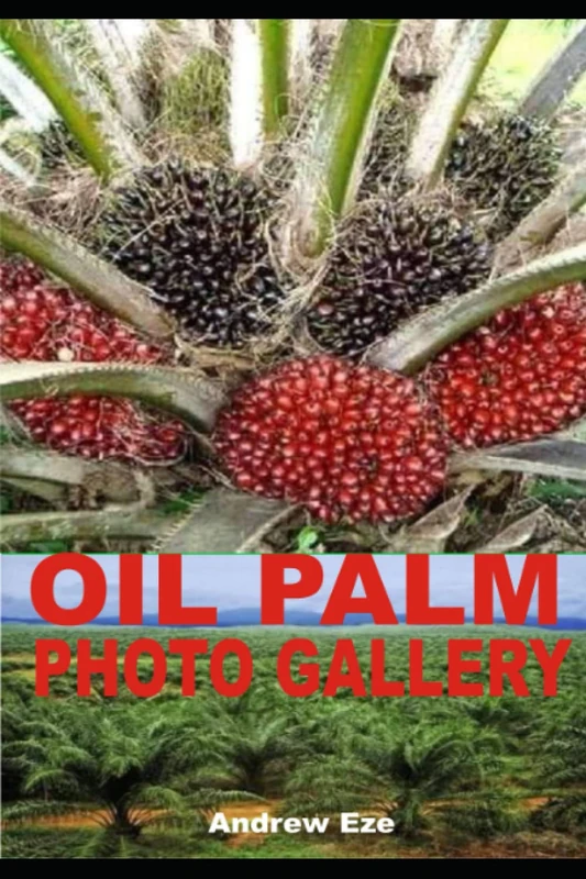 OIL PALM PHOTO GALLERY