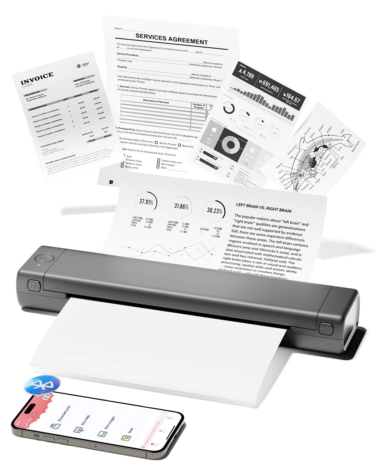 Phomemo M08F Thermal Printer Bluetooth Portable Wireless Inkless Mobile Printer for Office, Home, Images, Compatible with Phone & Laptop(Gray)